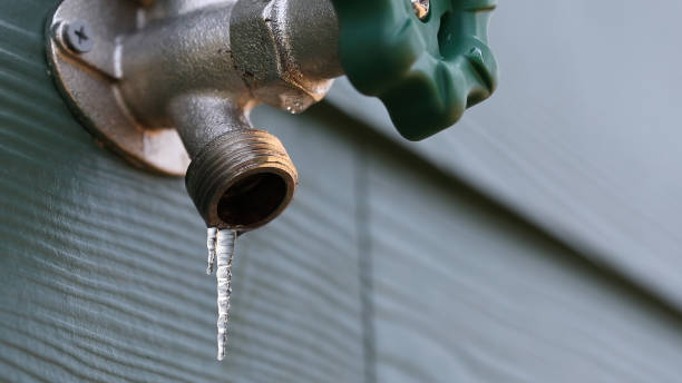 Best Shower Repair Services  in Mill Creek, WA